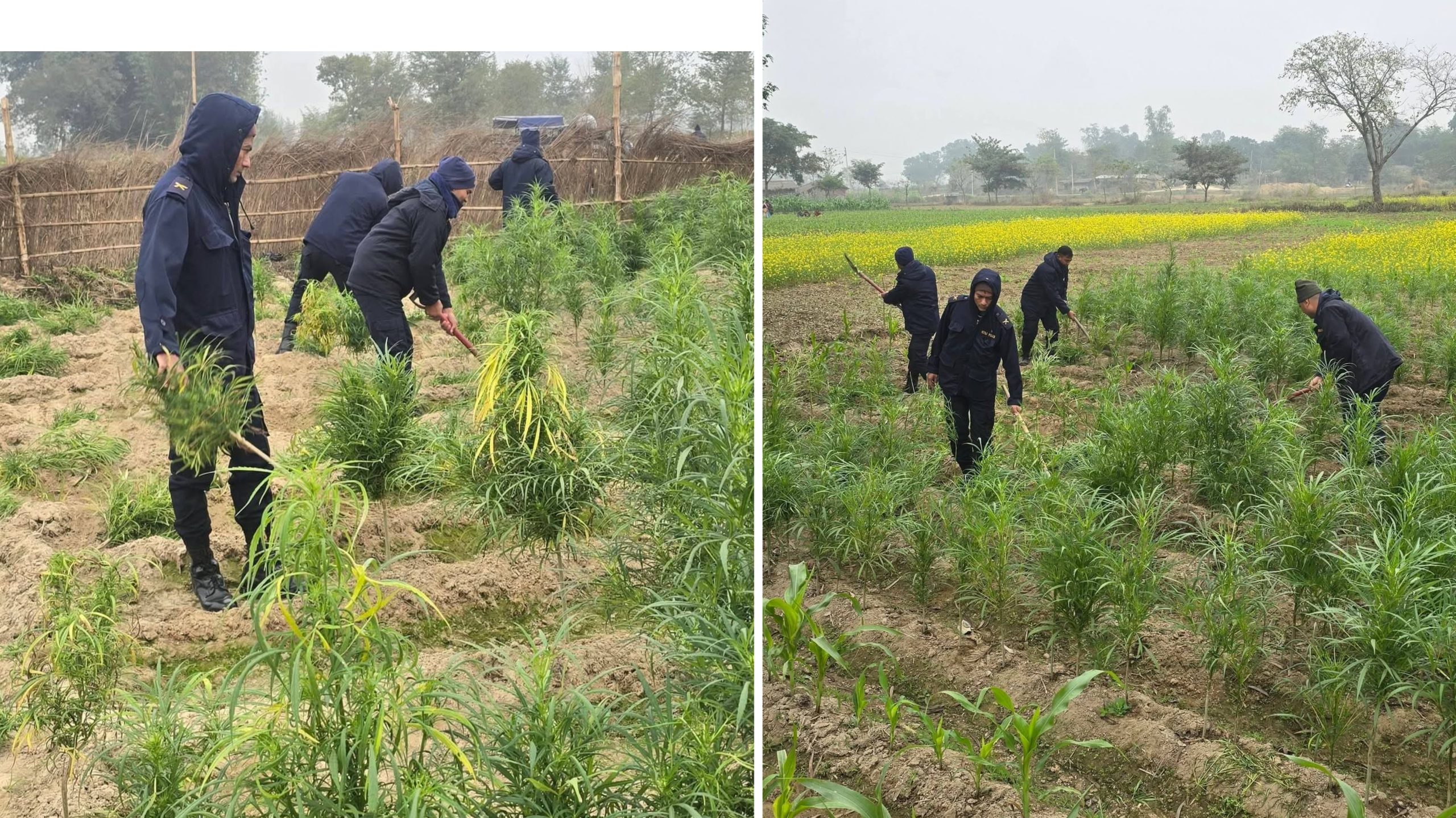 GridArt_20251222_152832487